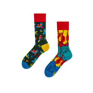 Vícebarevné vzorované ponožky Paradise Parrot