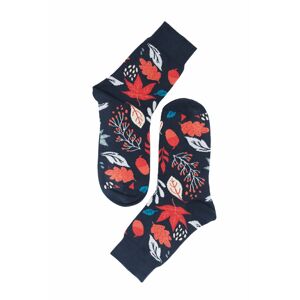 Vícebarevné vzorované ponožky Nature Socks