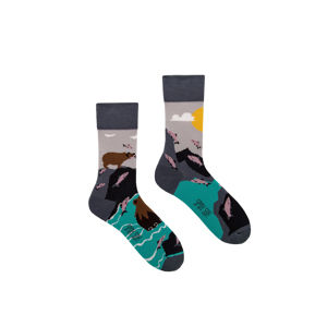 Vícebarevné ponožky Bears & Salmons