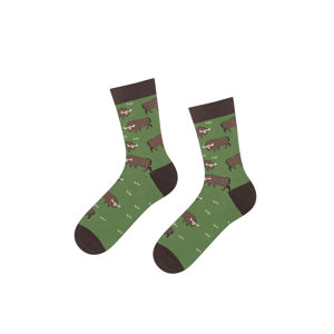 Hnědo-zelené ponožky Bison