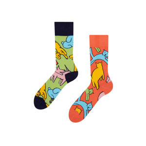 Vícebarevné ponožky Cats & Dogs