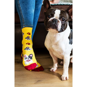 Žluté ponožky French Bulldog