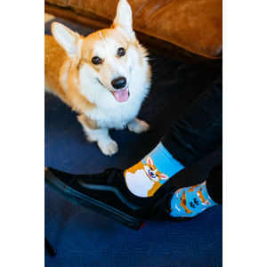Modro-oranžové ponožky Playful Dog