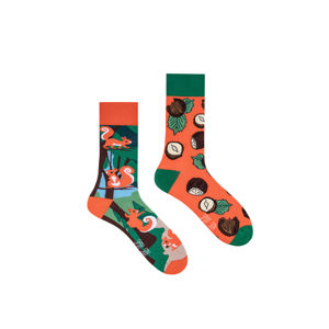 Zeleno-oranžové ponožky Squirrels