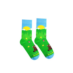 Vícebarevné ponožky High Tatras Bear