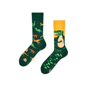 Zelené ponožky The Dinosaurs