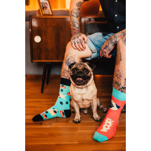 Vícebarevné ponožky Pug Life