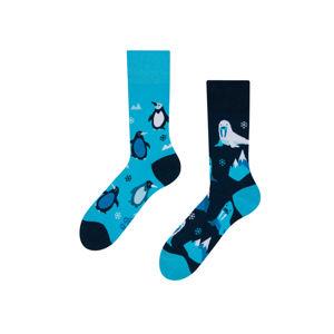 Modro-černé ponožky Polar Animals