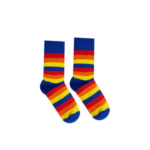 Barevné ponožky Rainbow
