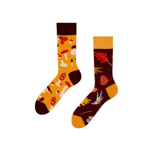 Hnědo-oranžové ponožky Mushrooms