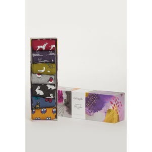 Vícebarevné ponožky v dárkové krabičce Fauna Sock Pack - sedm balení
