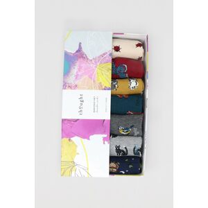 Vícebarevné ponožky v dárkové krabičce Annette Animal - sedm balení