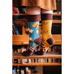 Vícebarevné ponožky Books