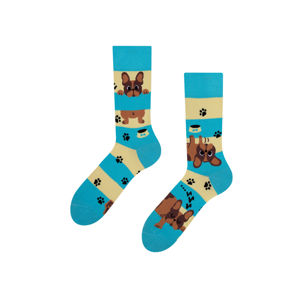 Modro-hnědé ponožky Dogs & Stripes