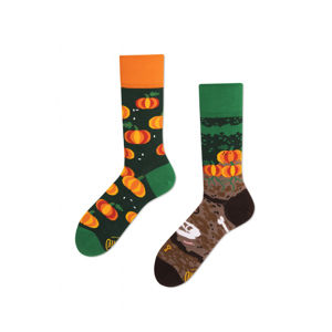 Oranžovo-zelené ponožky The Pumpkins