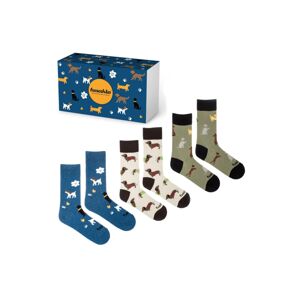 Vzorované ponožky v dárkové krabičce Psi - trojbalení