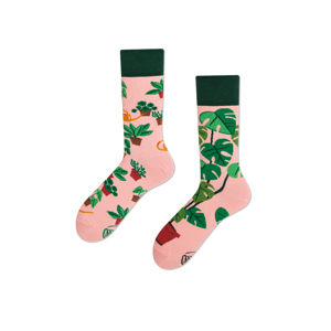 Růžovo-zelené ponožky Plant Lover